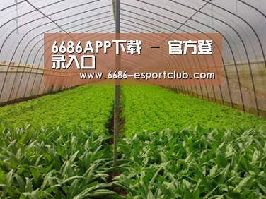种植基地四