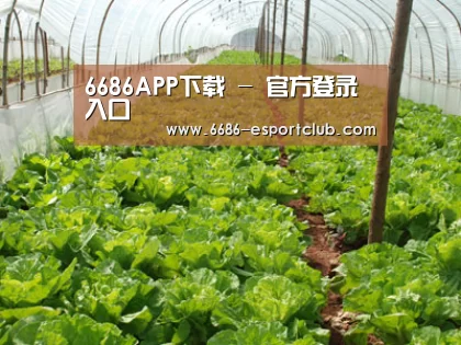 种植基地五