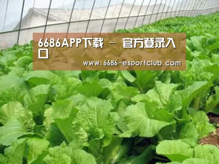 种植基地一