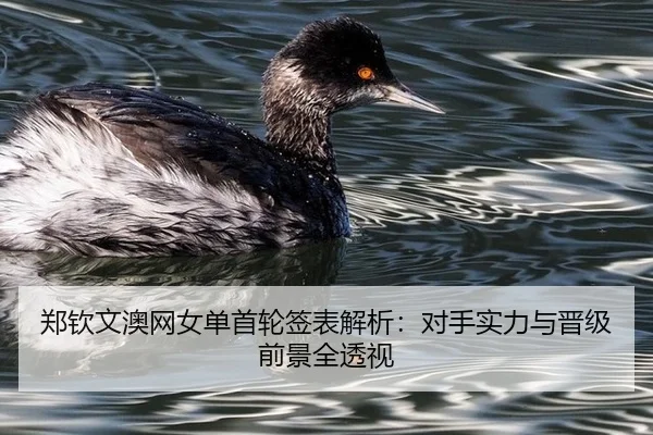 郑钦文澳网女单首轮签表解析：对手实力与晋级前景全透视