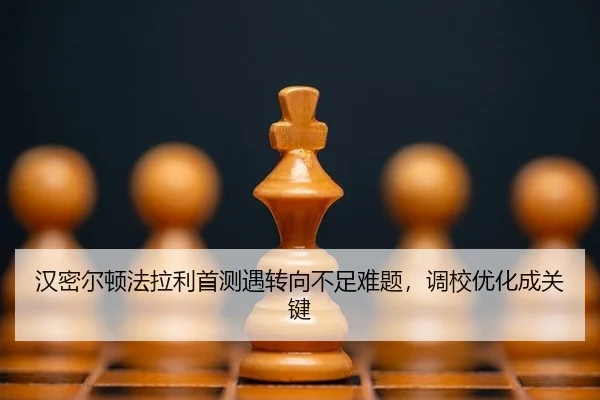 han-mi-er-dun-fa-la-li-shou-ce-yu-zhuan-xiang-bu-zu-nan-ti-diao-xiao-you-hua-cheng-guan-jian-3-887.jpg