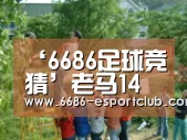 6686足球竞猜